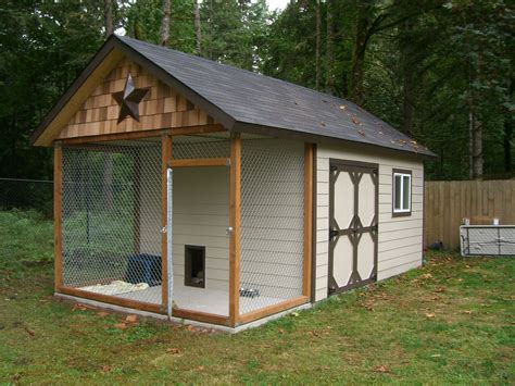 shed converted to dog house